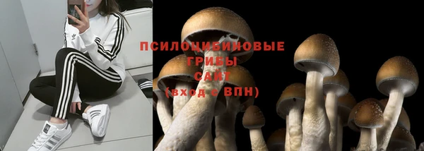 ALPHA-PVP Кукмор