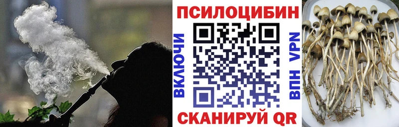 даркнет сайт  кракен как зайти  Псилоцибиновые грибы мухоморы  Шагонар 
